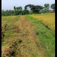 Dijual Sawah Produktif 1322m² Kerjo Karanganyar