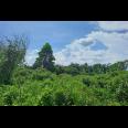 Dijual Tanah Strategis 5.355 m² di Dekat Lido City, Bogor