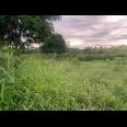 Dijual Tanah Strategis 5.355 m² di Dekat Lido City, Bogor