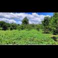 Dijual Tanah Strategis 5.355 m² di Dekat Lido City, Bogor