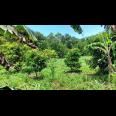 Dijual Tanah Strategis 5.355 m² di Dekat Lido City, Bogor