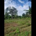 Dijual Tanah Strategis 5.355 m² di Dekat Lido City, Bogor