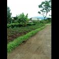 TANAH UNTUK PERUMAHAN DAN PERMUKIMAN DEKAT GT. PAMULIHAN TANJUNGSARI SUMEDANG
