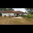 TANAH 1023 M2 BONUS RUMAH SERASA VILLA   SUASANA PEDESAAN DEKAT STASIUN WHOOSH TEGALLUAR BANDUNG