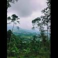 Tanah Idaman View Bukit Perkebunan Teh Kemuning Ngargoyoso Karanganyar