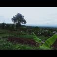 Tanah Idaman View Kebun Teh Kemuning Ngargoyoso Karanganyar