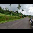 Tanah Idaman View Perbukitan Kebun Teh Kemuning Ngargoyoso Karanganyar