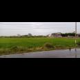 Dijual Tanah Sawah Strategis Tepi Jl Raya Sragen – Solo