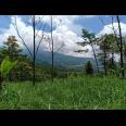 Tanah Idaman View Pemandangan Alam Kemuning Ngargoyoso Karanganyar Telp / WhatsApp 082327612345