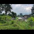 Tanah Strategis 1 Menit Dari Kebun Teh Kemuning 