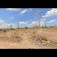Jual Tanah Kosong Luas di daerah Saronggi Sumenep