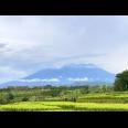 Tanah Sawah 3592m² View Gunung Kerjo Karanganyar 