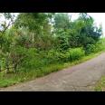 Dijual Tanah Kebun Durian 3600m² Mojogedang Karanganyar