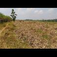 Jual Tanah Luas Strategis Daerah Desa Rejosari Sukoharjo