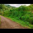 Tanah Subur Cocok untuk Kebun Buah Sambirejo Sragen