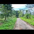 Tanah 2960m² Hanya 275 Juta Udara Dingin Karangpandan  