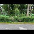 Tanah Datar 539m² Dekat Kecamatan Kerjo, Karanganyar 