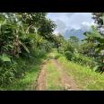 Kebun Durian 1237m² Kawasan Wisata Kemuning, Karanganyar 