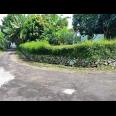 Tanah Datar View Hamparan Sawah Kedawung, Sragen 
