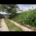  Sawah Subur 5000m² Karangpandan Karanganyar 