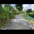 Tanah Kawasan Wisata Tawangmangu 1150m 600Jt 
