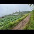 Tanah Wisata Kemuning 1000m View Istimewa 