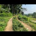 Tanah Subur 4000m² Udara Dingin Karangpandan 