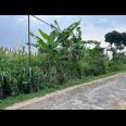 Tanah 3550m² Cocok Untuk Kebun Buah Karanganyar 