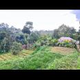 Tanah 800m² Cocok Untuk Kebun Buah Ngargoyoso 