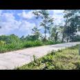 Tanah Murah 9803m 200rb/m Utara Candi Cetho Karanganyar 