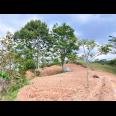 Tanah 8000m² Cocok Untuk Kebun Buah Karanganyar 