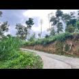 Tanah Cantik 7000m Utara Candi Cetho Karanganyar, Solo 