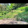 Tanah Kebun Durian 65Jt 500m Ngargoyoso Karanganyar 