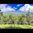 Tanah 4 Hektar Siap Bangun Wahana Wisata Karanganyar 