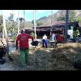 Lahan peternakan lengkap dgn kandang sapi, kambing, ayam, kolam, kebun