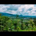 Tanah View Kebun Teh Kemuning Ngargoyoso Karanganyar