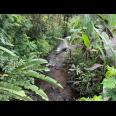 Tanah 1300m² Dekat Sungai Wisata River Tubing Ngargoyoso 