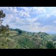 Tanah 8000m² Cocok Untuk Kebun Buah Karanganyar 
