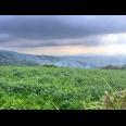 Tanah Datar Kawasan Wisata 650m Kemuning Karanganyar 