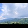 Tanah Cantik 7000m Utara Candi Cetho Karanganyar, Solo 