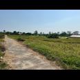 Tanah Sawah 3400m View Gunung Lawu Matesih 