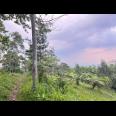 Tanah 275 Juta Kawasan Wisata Ngargoyoso   Tanah 275 Juta Kawasan Wisata Ngargoyoso