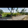 Jual Tanah Datar 8001m 90rb/m Siap Bangun Sragen 