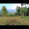 DIJUAL TANAH VIEW ISTIMEWA KEMUNING NGARGOYOSO KRA