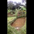 TANAH VIEW KOTA BANDUNG UNTUK RUMAH VILLA DAN KEBUN PRODUKTIF  DI UJUNG BERUNG