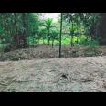 Dijual Tanah Cocok Untuk Kebun Buah Timur Pasar Jambangan Mojogedang