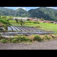 Tanah Idaman Cocok Untuk Villa Wisata Tawangmangu