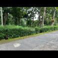 Tanah Datar 539m² Dekat Kecamatan Kerjo, Karanganyar 