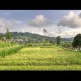 Tanah View Tanpa Terhalang 852m² Karangpandan 