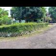 Tanah Datar View Hamparan Sawah Kedawung, Sragen 